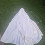 Parasol Image 2