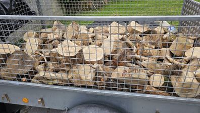 Firewood Delivered