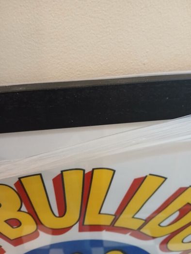 The Bulldog Amsterdam framed logo flag
