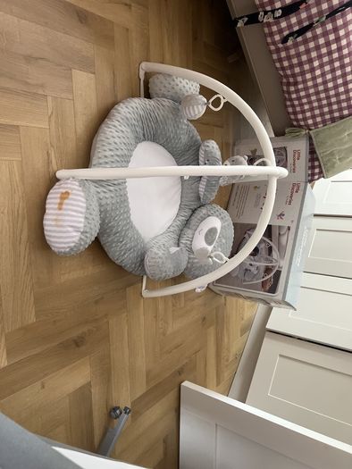 Little Discoveries Play Gym
