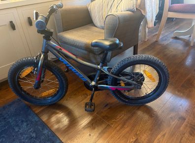 Specialized 16 Inch Bike