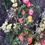 Faux Flowers Image 3