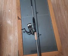 Kinetic trixx combo 10ft rod