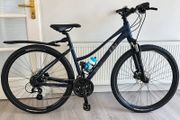 Liv Rove 4 Women's Bike