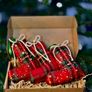 Christmas Image 7