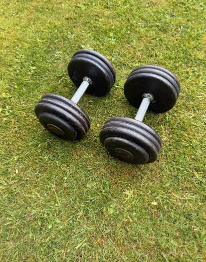 17.5kg Dumbbells x2