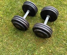 17.5kg Dumbbells x2