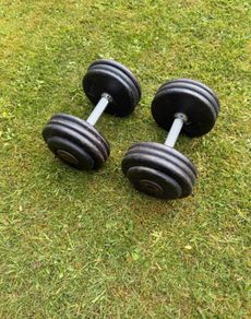 17.5kg Dumbbells x2