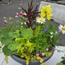 XL flower pot Image 3