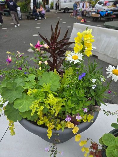 XL flower pot