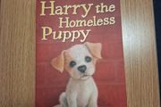 Harry the homeless puppy