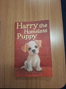 Harry the homeless puppy