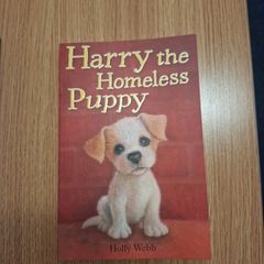 Harry the homeless puppy