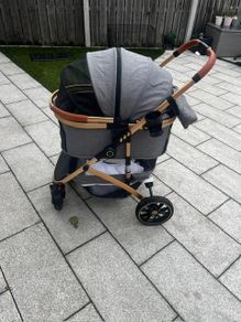 Dogs Pram