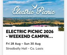 Electric picnic