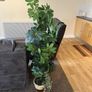 Artificial Plants Image 3
