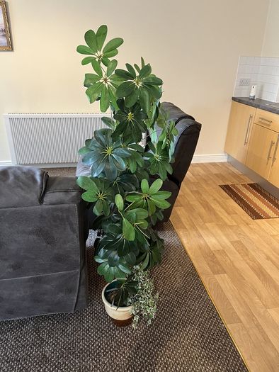Artificial Plants
