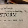 Peadar O'donnell Book Storm Rare 1st Edition Image 6