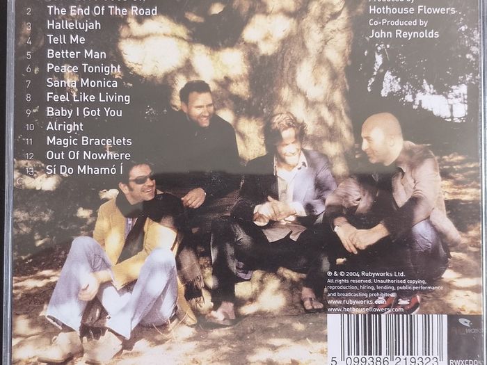 Hothouse Flowers - Into Your Heart CD (2004) Pop Rock Folk EX+
