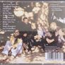Hothouse Flowers - Into Your Heart CD (2004) Pop Rock Folk EX+ Image 3