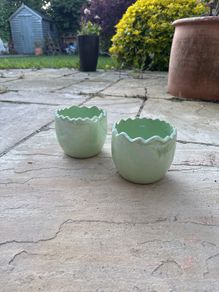 Small Green shiny plant pots