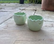 Small Green shiny plant pots