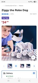 Robodog