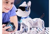 Robodog