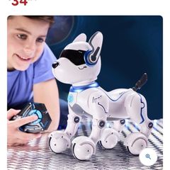 Robodog
