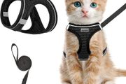 NEW SALE | Cat Harness and Lead Set, Soft Mesh Puppy Harness for Outdoor,Escape-Proof Cat Kitten Harness with Leash