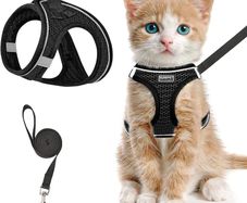 NEW SALE | Cat Harness and Lead Set, Soft Mesh Puppy Harness for Outdoor,Escape-Proof Cat Kitten Harness with Leash