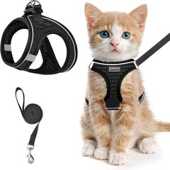 NEW SALE | Cat Harness and Lead Set, Soft Mesh Puppy Harness for Outdoor,Escape-Proof Cat Kitten Harness with Leash