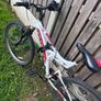 Adult Bicycle Image 5
