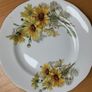 6 Bone China Side Plates & Bread Plate Image 6