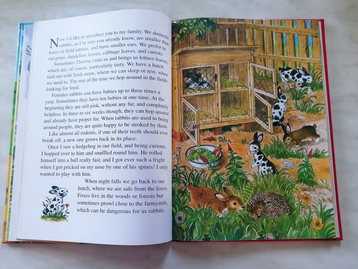 Children Book - Farmyard Stories