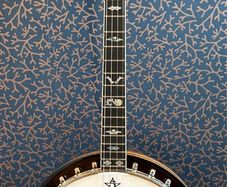 Clifford Essex Tenor Banjo