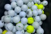 20 Seed Golf Balls