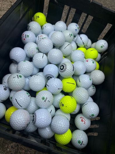 20 Seed Golf Balls