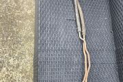 MK1 Mitsubishi Pajero Oil Cooler Lines.