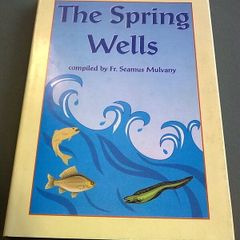 The Spring Wells Tubberclare Glasson Westmeath Ireland