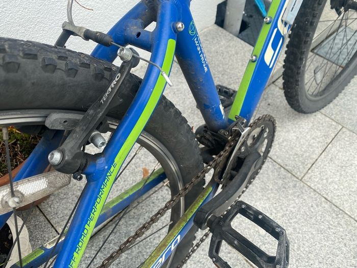 Carrera Mountain Bike
