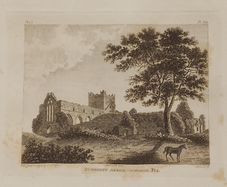 Pair 1792 Antique Prints Dunbrody Abbey