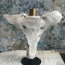 1 Bone Spooky Witch Halloween candle stick holders decoration Image 10
