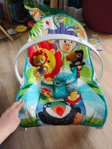 infant to toddler rocker.