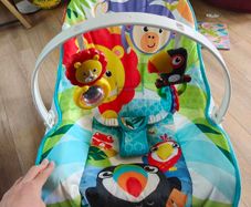 infant to toddler rocker.