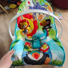 infant to toddler rocker.