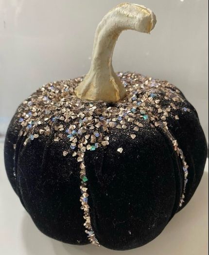 Black velvet Pumkin