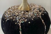 Black velvet Pumkin