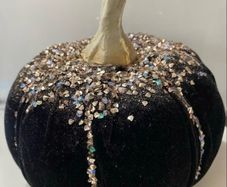 Black velvet Pumkin