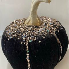 Black velvet Pumkin